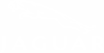 Jaguar Logo