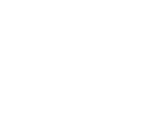 Toyota Logo