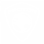 Proton Logo