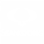 Ssangyong Logo